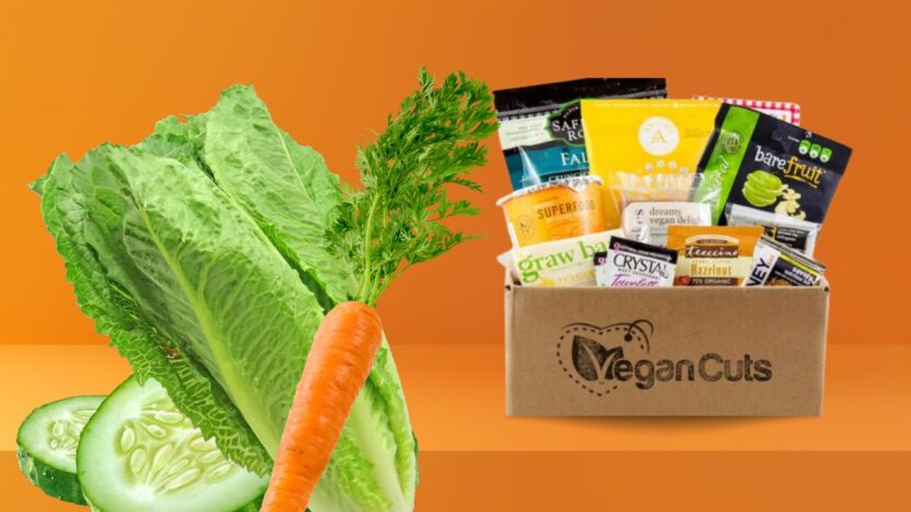 Vegancuts Snack Box